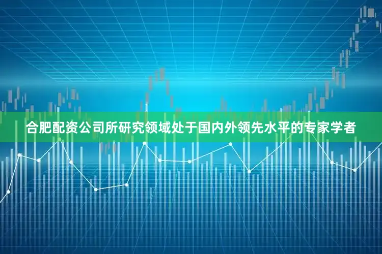 合肥配资公司所研究领域处于国内外领先水平的专家学者