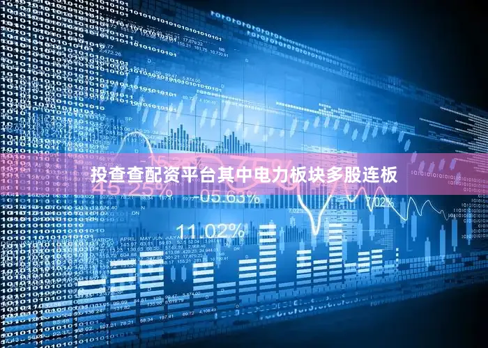 投查查配资平台其中电力板块多股连板