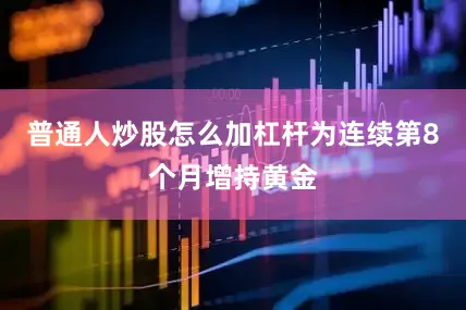 普通人炒股怎么加杠杆为连续第8个月增持黄金