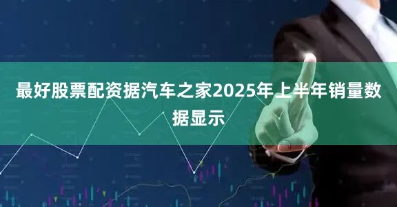 最好股票配资据汽车之家2025年上半年销量数据显示