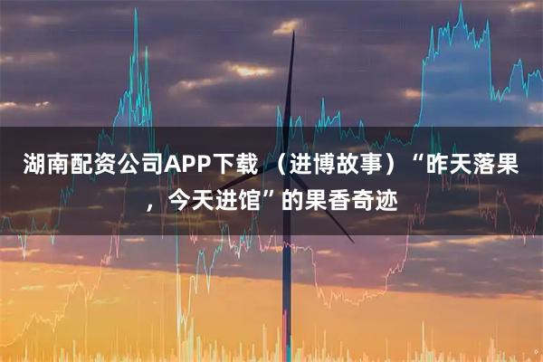 湖南配资公司APP下载 （进博故事）“昨天落果，今天进馆”的果香奇迹
