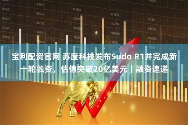 宝利配资官网 苏度科技发布Sudo R1并完成新一轮融资，估值突破20亿美元｜融资速递