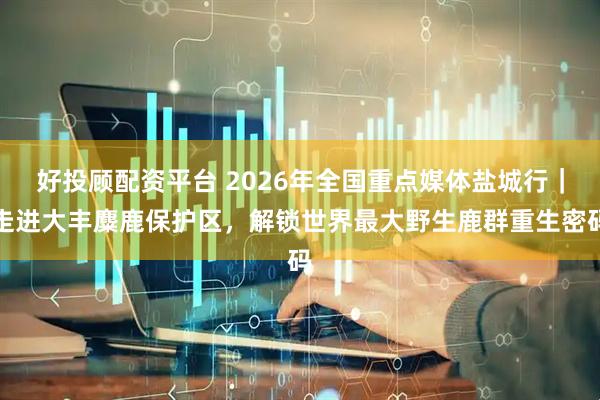 好投顾配资平台 2026年全国重点媒体盐城行｜走进大丰麋鹿保护区，解锁世界最大野生鹿群重生密码